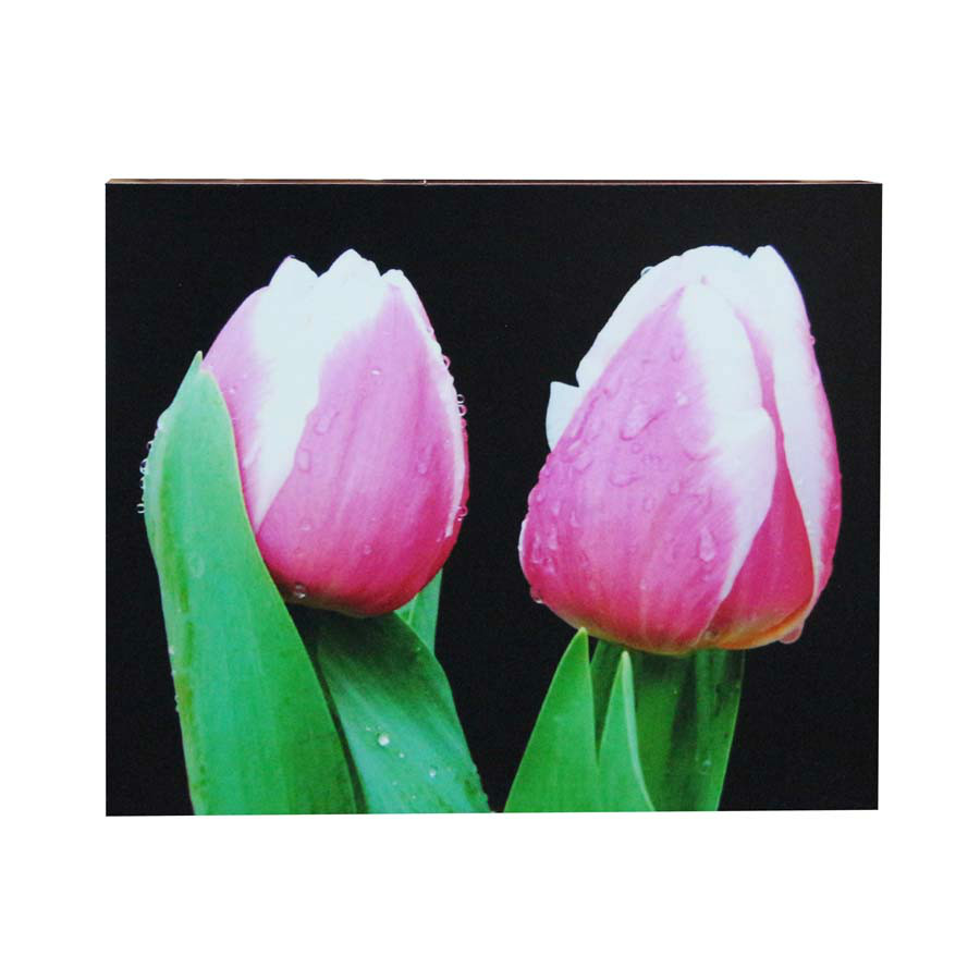 กรอบลอยภาพถ่าย